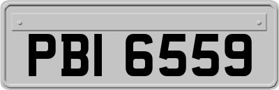 PBI6559