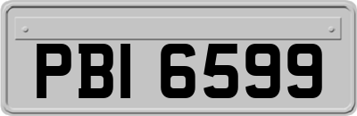 PBI6599