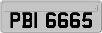 PBI6665