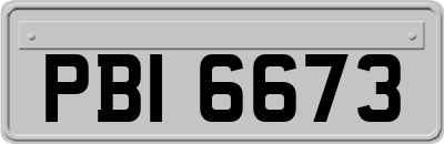 PBI6673