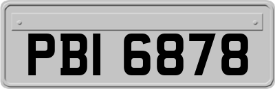 PBI6878