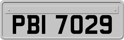 PBI7029