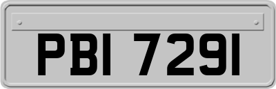 PBI7291