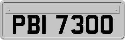 PBI7300