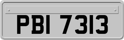 PBI7313