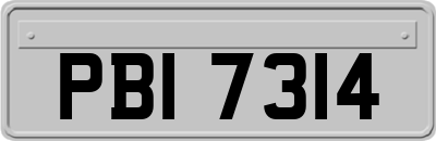 PBI7314