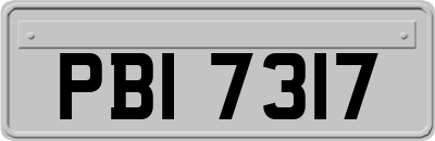 PBI7317