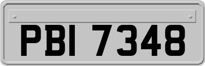 PBI7348