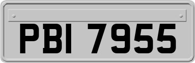 PBI7955