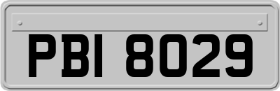 PBI8029