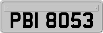 PBI8053