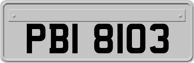 PBI8103