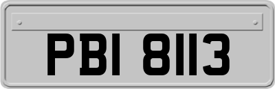 PBI8113