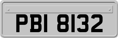 PBI8132