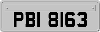 PBI8163