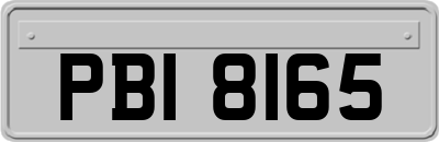 PBI8165