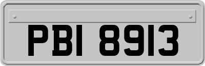 PBI8913