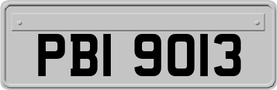 PBI9013