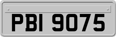 PBI9075