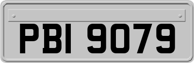 PBI9079