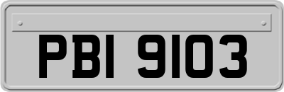 PBI9103