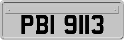 PBI9113