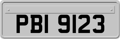 PBI9123