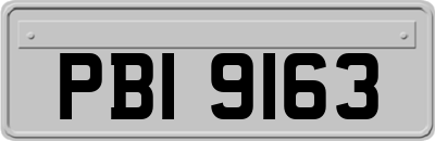 PBI9163