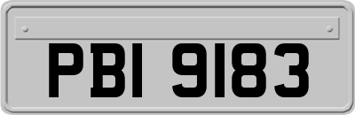 PBI9183