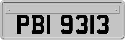 PBI9313