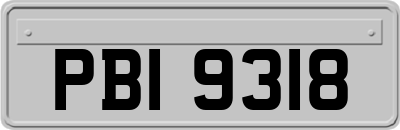 PBI9318