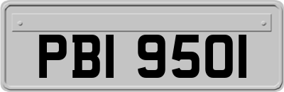 PBI9501