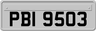 PBI9503