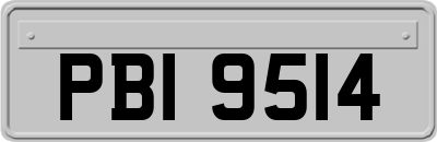 PBI9514