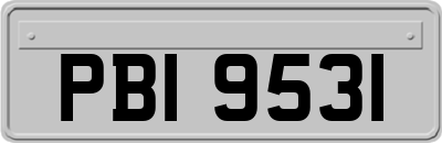 PBI9531