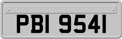 PBI9541