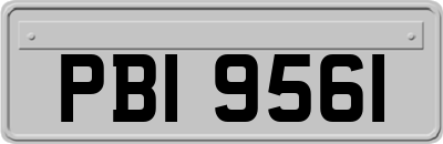 PBI9561