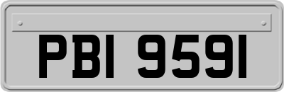 PBI9591