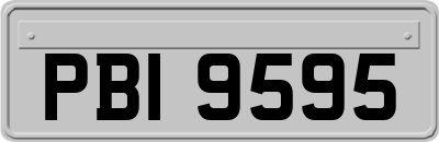 PBI9595