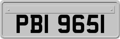 PBI9651