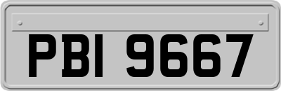 PBI9667