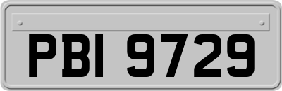 PBI9729