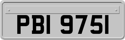 PBI9751