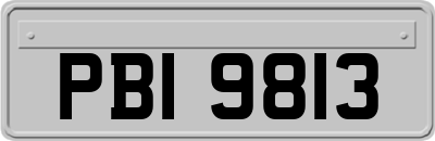 PBI9813