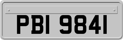 PBI9841