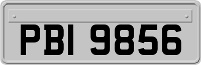 PBI9856