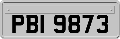 PBI9873