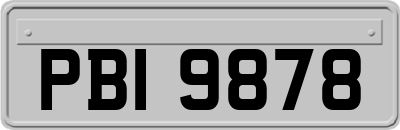 PBI9878