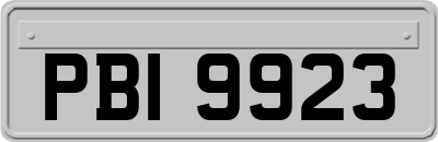 PBI9923