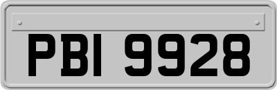 PBI9928